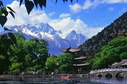 阴阳师九游版下载微博-体验奇幻世界，阴阳师九游版下载与微博互动新体验